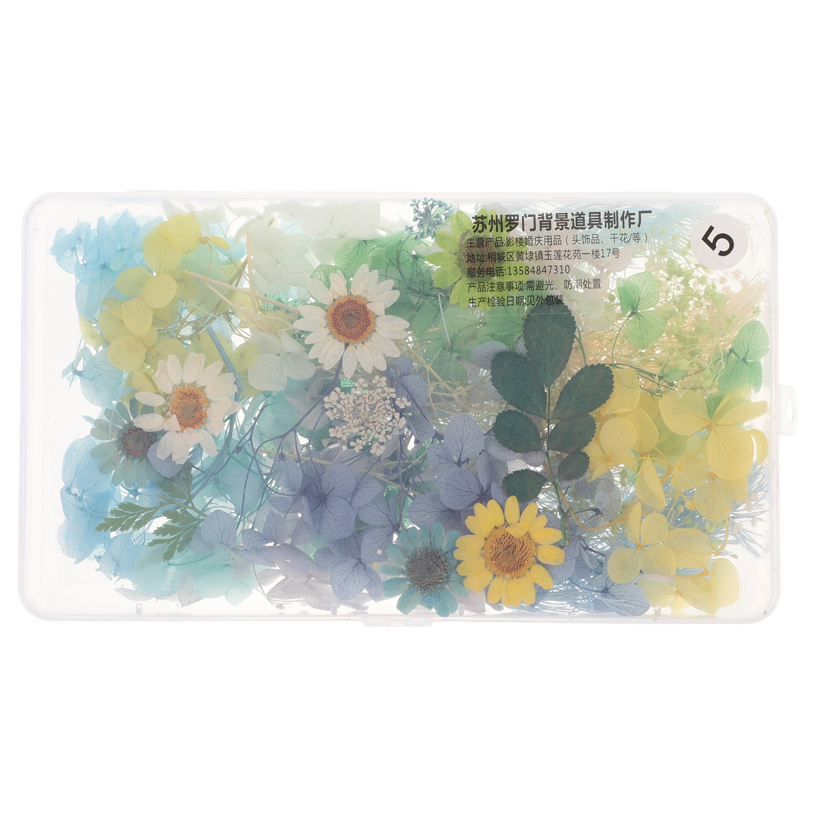 Resin Craft Kit - Kit de fleurs séchées pour coiffure