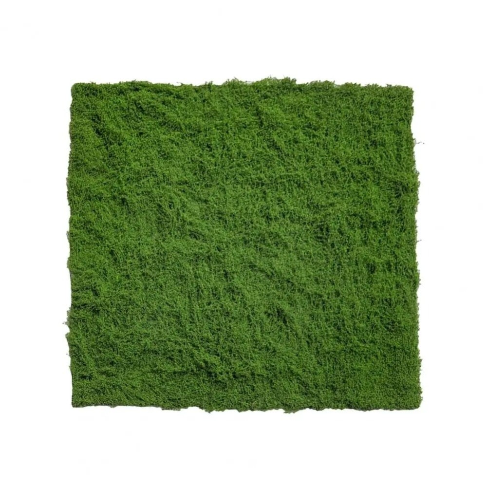 Tapis de gazon artificiel DIY  - Terrarium Moss Art avis et prix